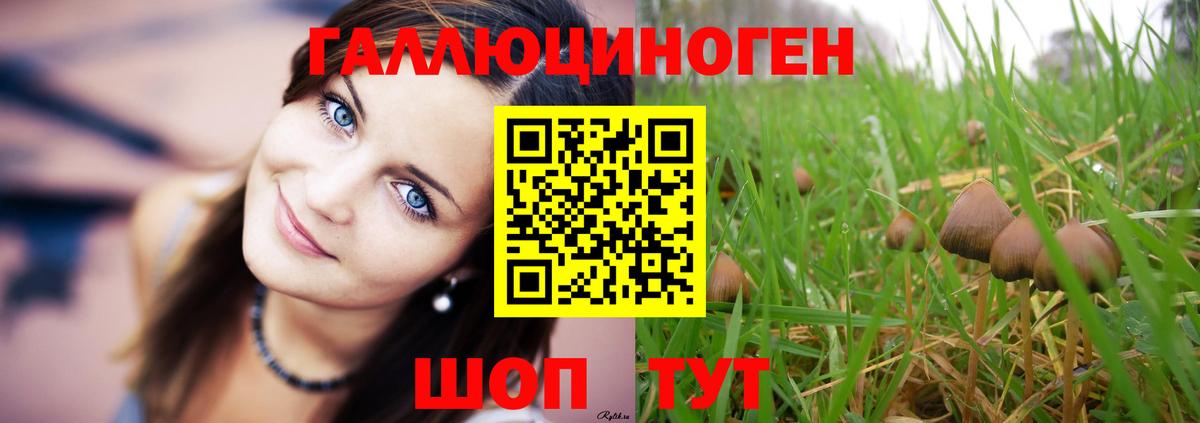 Солнечногорск  Галлюциногенные грибы мухоморы  Вход с VPN  магазин продажи   Псилоцибиновые грибы мицелий 